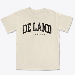 De Land Illinois Urban Vibe Premium Heavyweight T-shirt