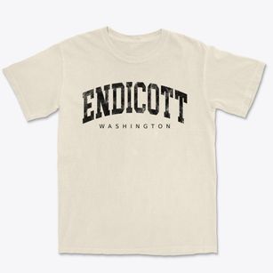 Endicott Washington Urban Vibe Premium Heavyweight T-shirt