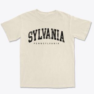 Sylvania Pennsylvania Urban Vibe Premium Heavyweight T-shirt