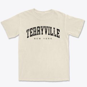 Terryville New York Urban Vibe Premium Heavyweight T-shirt