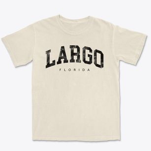 Largo Florida Urban Vibe Premium Heavyweight T-shirt