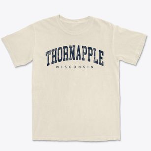 Thornapple Wisconsin Urban Vibe Premium Heavyweight T-shirt