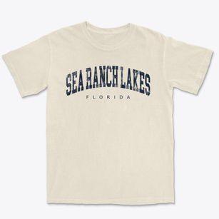 Sea Ranch Lakes Florida Urban Vibe Premium Heavyweight T-shirt