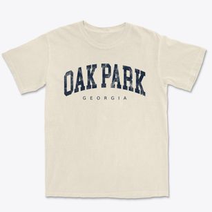 Oak Park Georgia Urban Vibe Premium Heavyweight T-shirt
