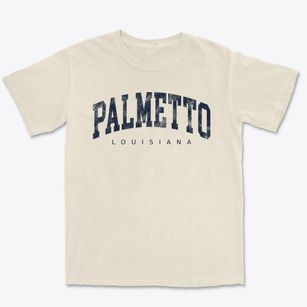 Palmetto Louisiana Urban Vibe Premium Heavyweight T-shirt