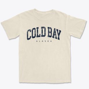 Cold Bay Alaska Urban Vibe Premium Heavyweight T-shirt