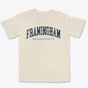 Framingham Massachusetts Urban Vibe Premium Heavyweight T-shirt