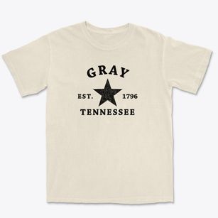 Gray Tennessee Star Premium Heavyweight T-shirt