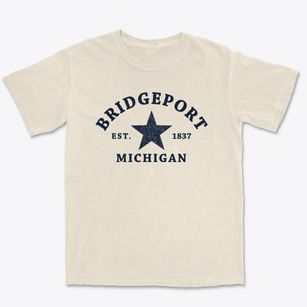 Bridgeport Michigan Star Premium Heavyweight T-shirt