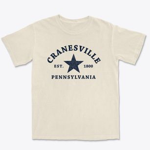 Cranesville Pennsylvania Star Premium Heavyweight T-shirt