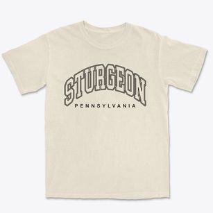 Sturgeon Pennsylvania Inline Premium Heavyweight T-shirt