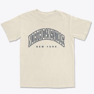 North Dansville New York Inline Premium Heavyweight T-shirt
