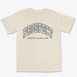 Prospect North Carolina Inline Premium Heavyweight T-shirt