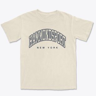 Hammondsport New York Inline Premium Heavyweight T-shirt