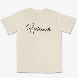 Fluvanna New York Freestyle Premium Heavyweight T-shirt