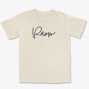Raum Illinois Freestyle Premium Heavyweight T-shirt
