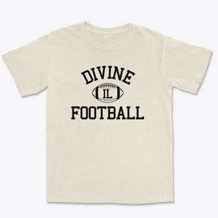 Divine Illinois Football Premium Heavyweight T-shirt