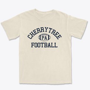Cherrytree Pennsylvania Football Premium Heavyweight T-shirt
