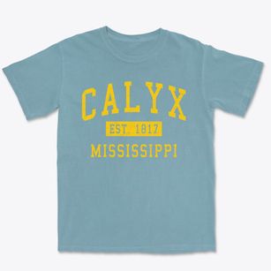 Calyx Mississippi Classic Established Premium Heavyweight T-shirt