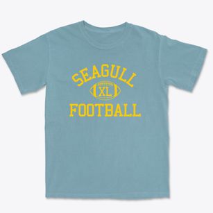 Seagull School Exceptional Children Classic Football Premium Heavyweight T-shirt