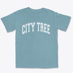 City Tree School Varsity Arch Premium Heavyweight T-shirt