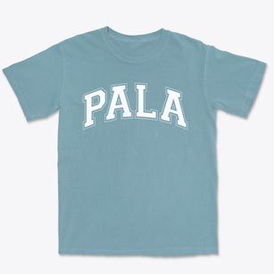 Pala Middle School Varsity Arch Premium Heavyweight T-shirt