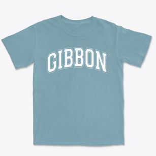 Gibbon Elementary School Varsity Arch Premium Heavyweight T-shirt
