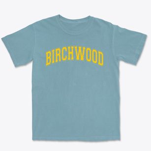 Birchwood Elementary School Varsity Arch Premium Heavyweight T-shirt