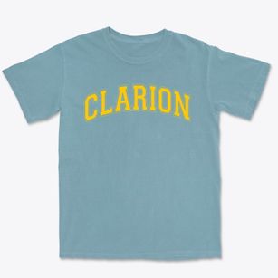 Clarion Area Elementary School Varsity Arch Premium Heavyweight T-shirt