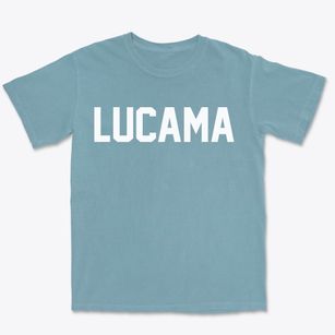 Lucama North Carolina Classic Block Premium Heavyweight T-shirt