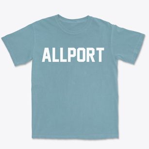 Allport Arkansas Classic Block Premium Heavyweight T-shirt