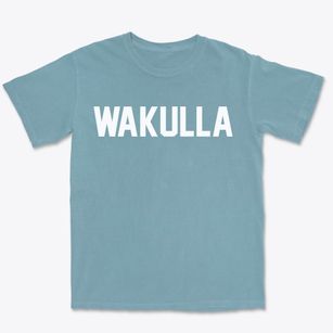 Wakulla North Carolina Classic Block Premium Heavyweight T-shirt