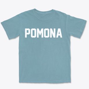 Pomona New Jersey Classic Block Premium Heavyweight T-shirt
