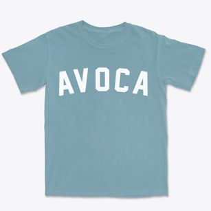 Avoca Pennsylvania Classic Curve Premium Heavyweight T-shirt