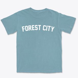Forest City Missouri Classic Curve Premium Heavyweight T-shirt