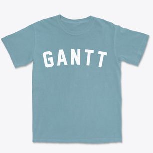 Gantt Alabama Classic Curve Premium Heavyweight T-shirt