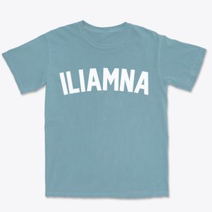 Iliamna Alaska Classic Curve Premium Heavyweight T-shirt