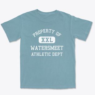 Watersmeet Michigan Athletic Dept Premium Heavyweight T-shirt