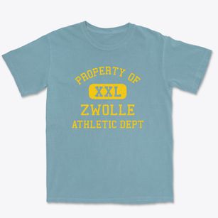 Zwolle Louisiana Athletic Dept Premium Heavyweight T-shirt