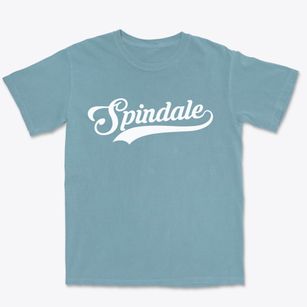 Spindale North Carolina Vintage Team Premium Heavyweight T-shirt