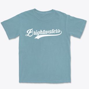 Brightwaters New York Vintage Team Premium Heavyweight T-shirt