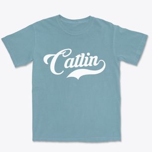 Catlin Illinois Vintage Team Premium Heavyweight T-shirt