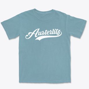 Austerlitz New York Vintage Team Premium Heavyweight T-shirt