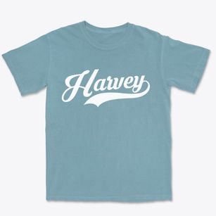 Harvey Illinois Vintage Team Premium Heavyweight T-shirt