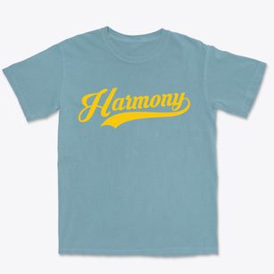 Harmony New Jersey Vintage Team Premium Heavyweight T-shirt
