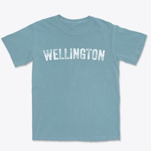 Wellington Florida Timeless Retro Premium Heavyweight T-shirt