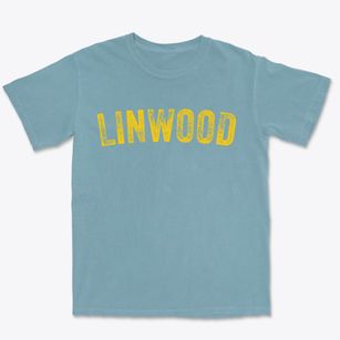 Linwood New Jersey Timeless Retro Premium Heavyweight T-shirt