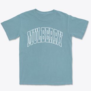 Mulberry Florida Trendy Block Premium Heavyweight T-shirt