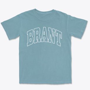 Brant New York Trendy Block Premium Heavyweight T-shirt