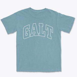 Galt Missouri Trendy Block Premium Heavyweight T-shirt